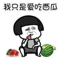 娱乐吃瓜酱专属梗是什么
